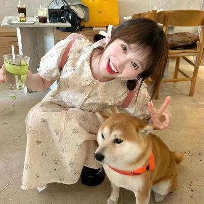 圈圈里的爱