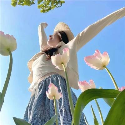 香草的天空
